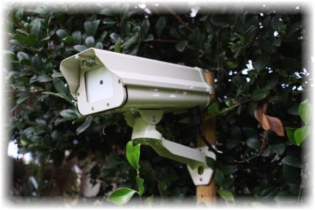 The Picammory camera in the garden